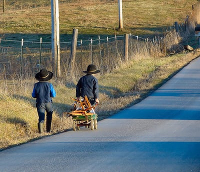 Amish_boys_and_wagon