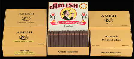 Cigar palma Amish