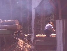 amish sawmill business