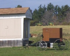 new york amish buggy ny new york amish buggy