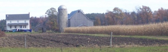 new york amish farm ny new york amish farm