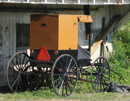 new york amish mayville brown buggy new york amish mayville buggy