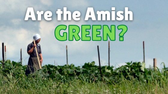Are The Amish “Green”? (Video)