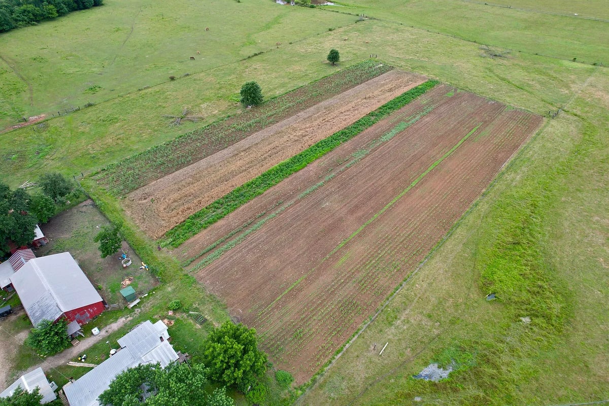 Aerial view of crop plots beside red barns on an Amish farm in Randolph, Mississippi