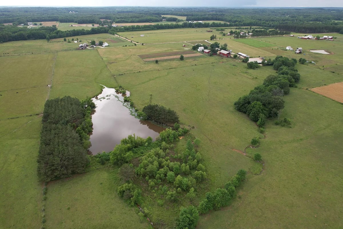 Aerial view of pond, pastures, and Amish farmsteads in Randolph, Mississippi