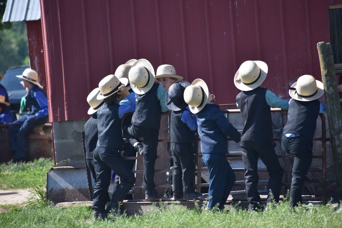 Group of Amish boys in straw hats leaning over a fence at a red barn backs to camera