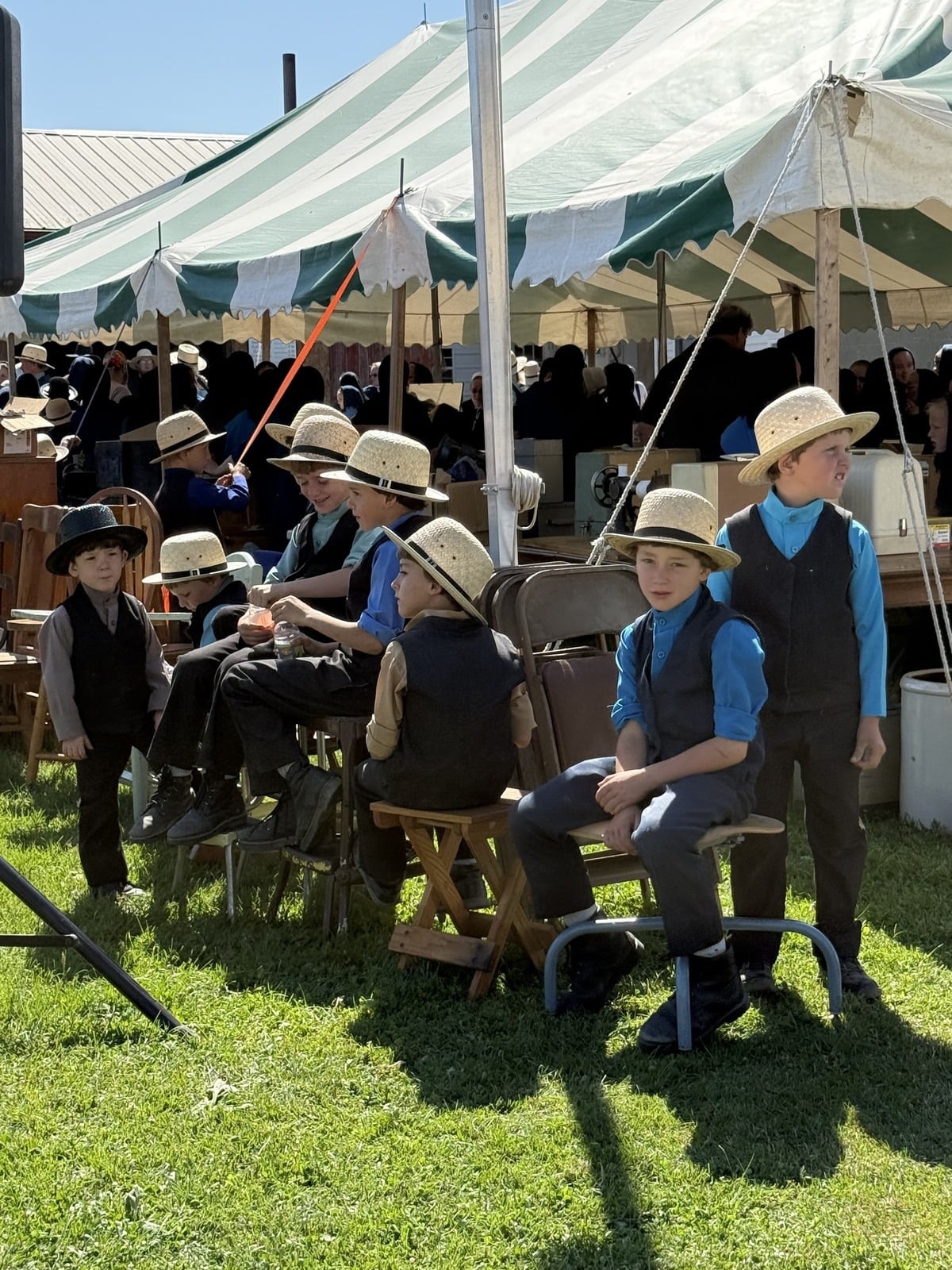 Group of Amish boys in straw hats seated on chairs and stools under green and white striped auction tent