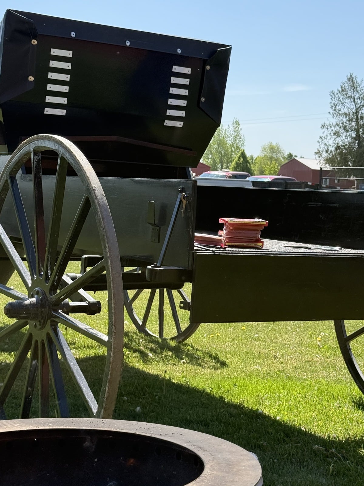 Packages of hot dogs and grill tools laid out in the open back of a black Amish buggy with garden and blue sky behind