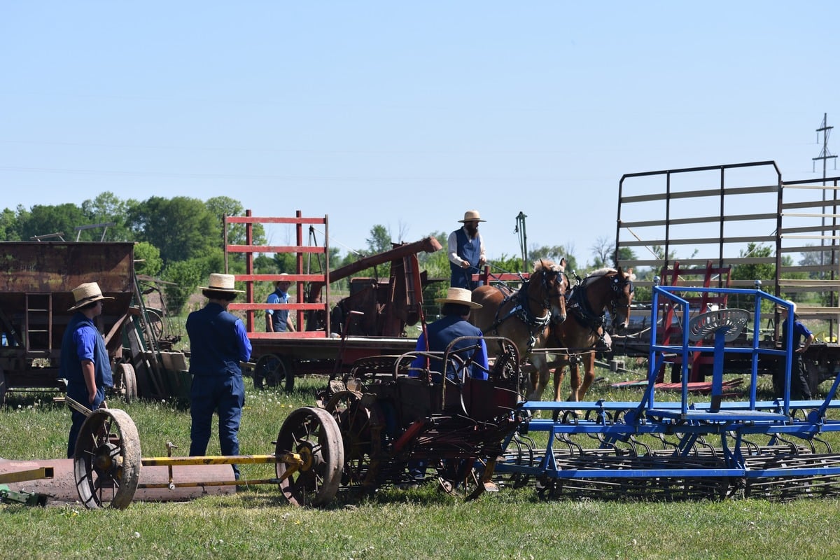 Amish men in blue shirts among old farm equipment with horse drawn wagon being moved and blue cultivator in foreground