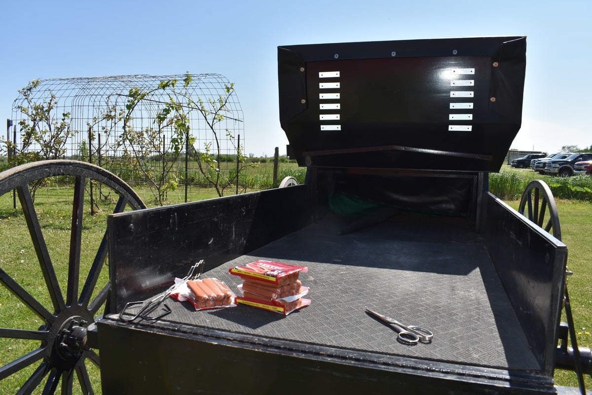 Packages of hot dogs and grill tools laid out in the open back of a black Amish buggy with garden and blue sky behind