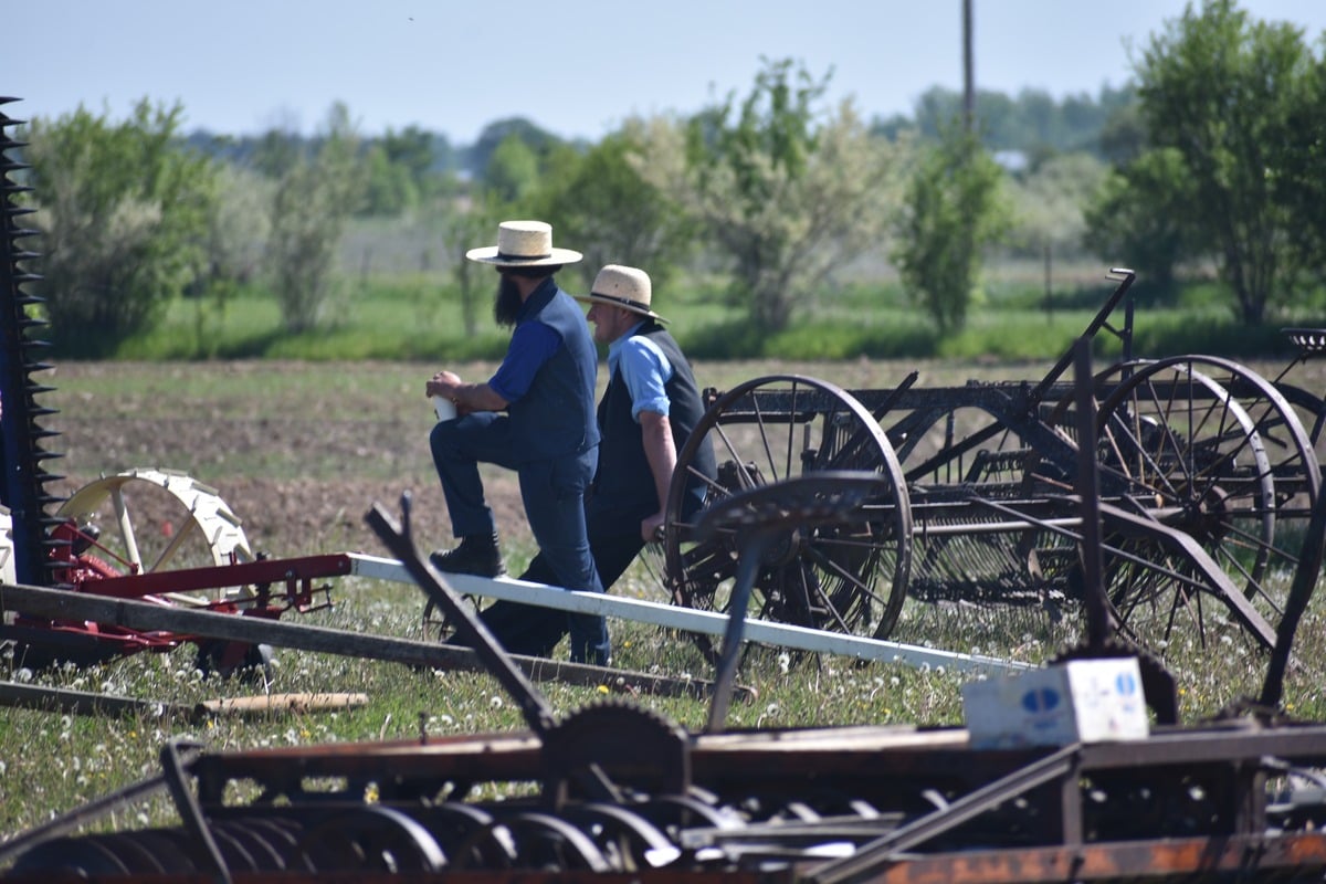 Two Amish men in straw hats talking among old farm implements and wagon wheels with open field and trees behind