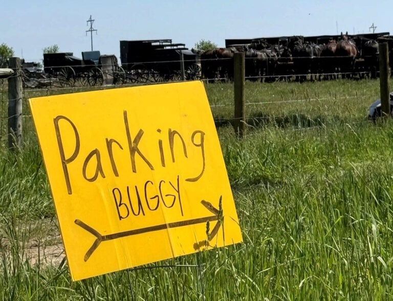 Big Amish Crowd Turns Out For Central Michigan Auction (19 Photos)