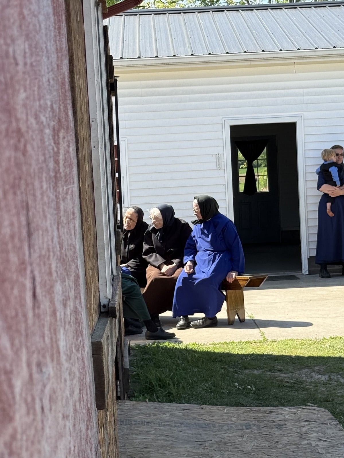 Three older Amish women seated on bench in shade of barn doorway watching auction