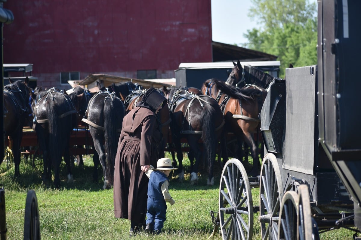 Amish woman in dark brown dress bending down to toddler in straw hat in buggy parking area with long row of horses and buggies behind