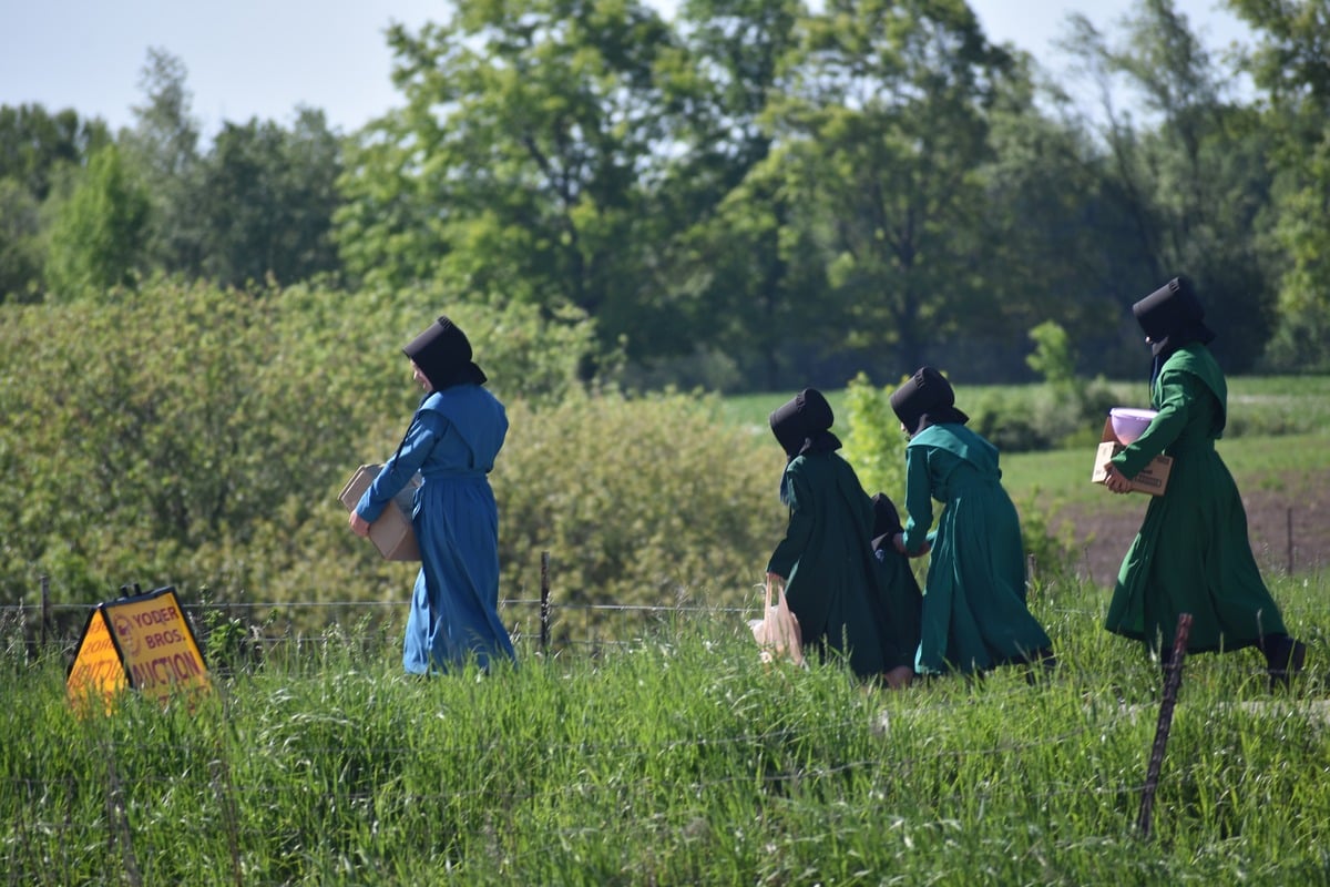 Four Amish women and girls in blue and green dresses walking away carrying boxes and bags with Yoder Bros auction sign visible in grass