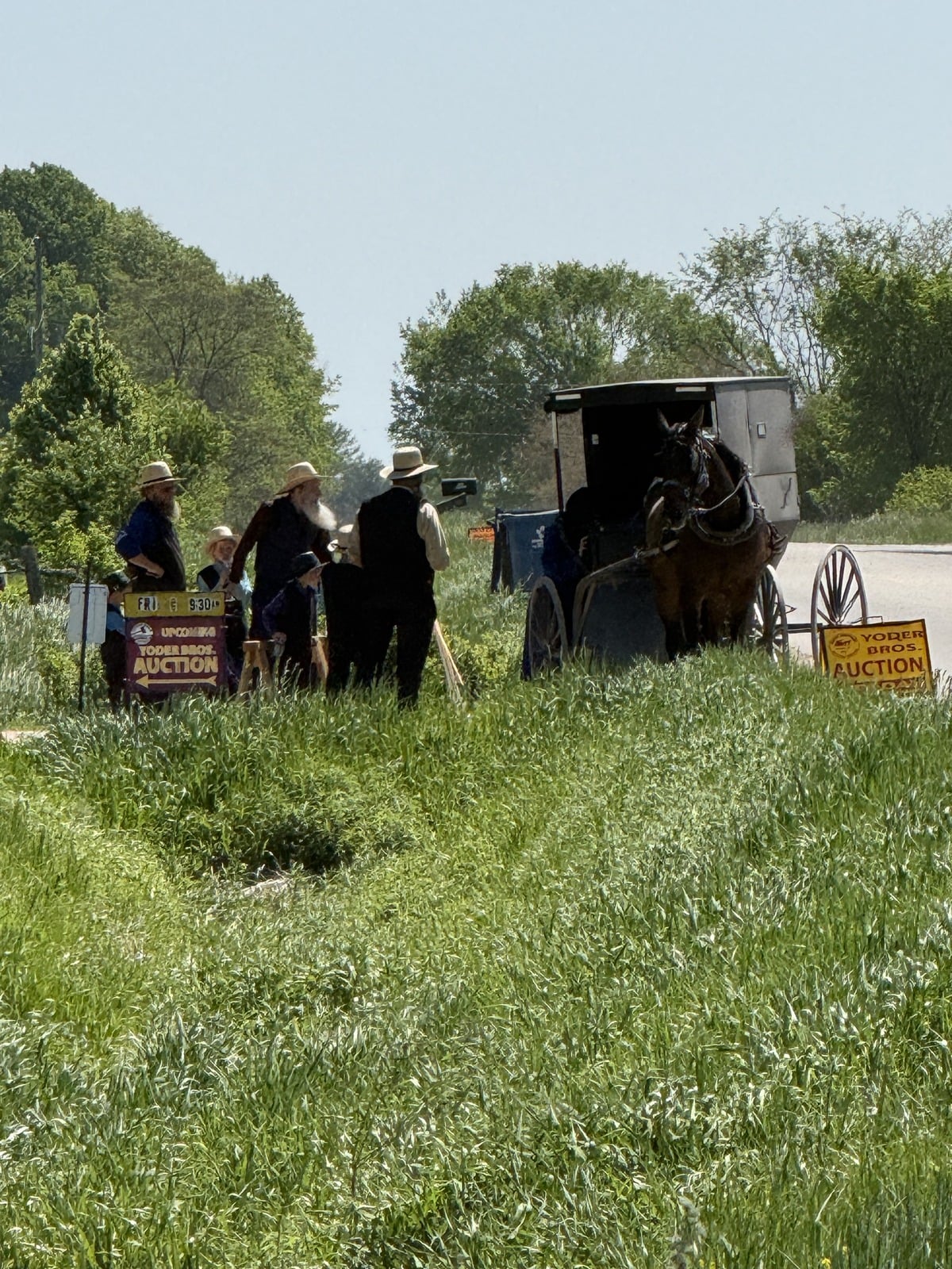 Amish men gathered near Yoder Bros auction signs with horse and buggy arriving on rural road