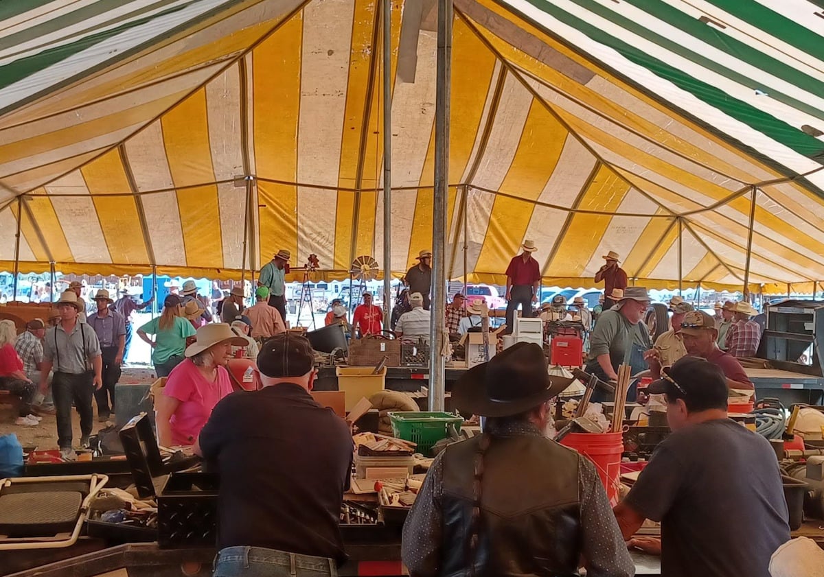Auctioneers on stands inside tent at Colorado Amish auction