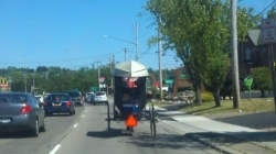 Amish Boater NY