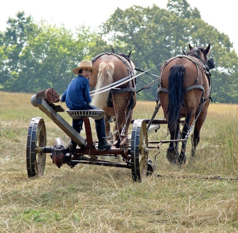 12-Year-Old Amish Boy Killed in Farm Accident – While Discing A Field