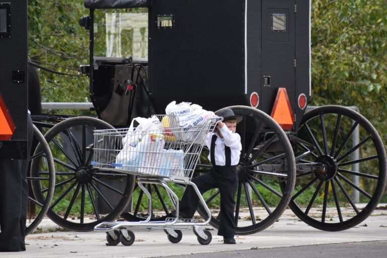 7 Ways Amish Families Keep Grocery Bills Low — Even With 8 Kids