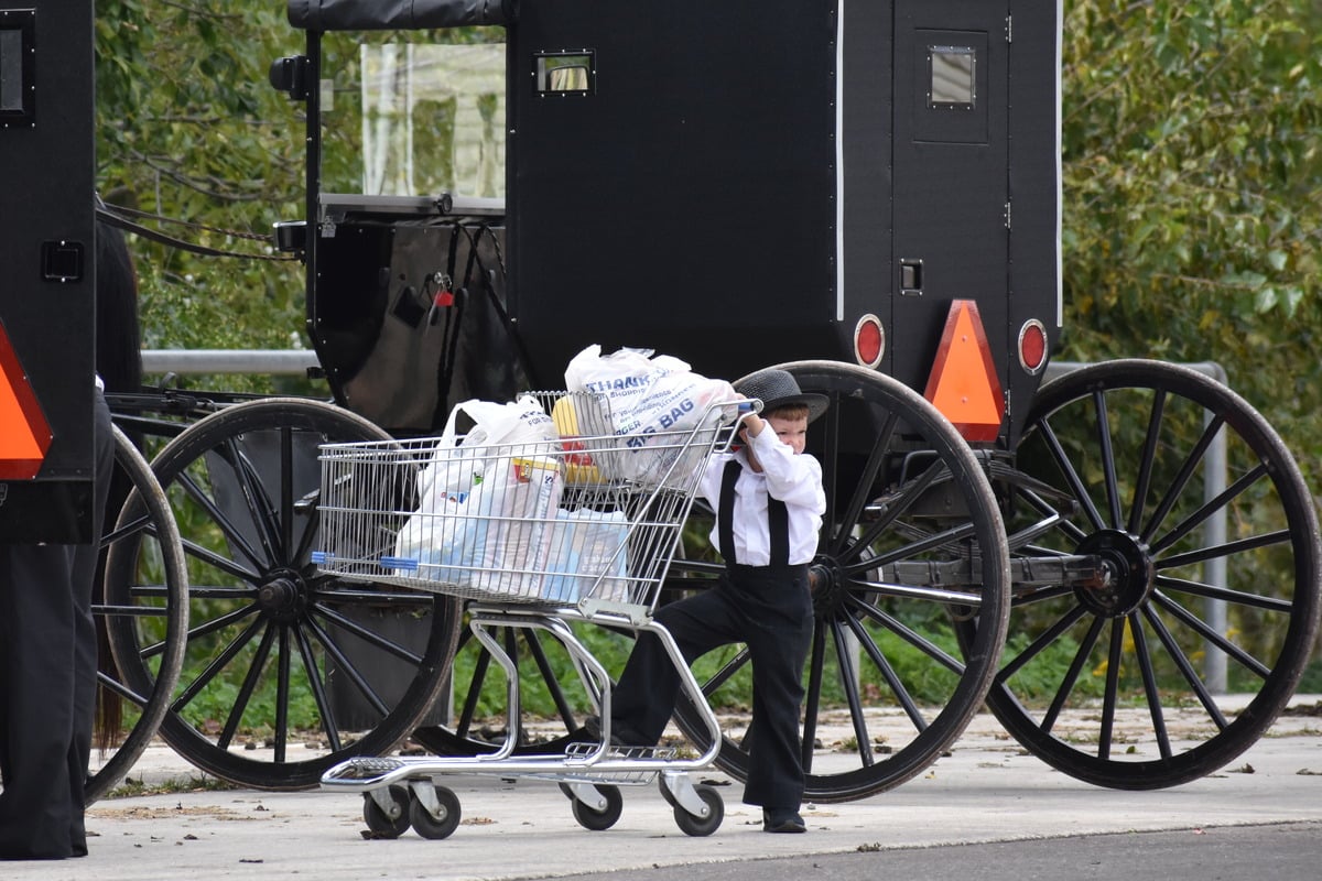 Young Amish boy in white shirt, suspenders, and black hat with a shopping cart full of grocery bags and two parked Amish buggies