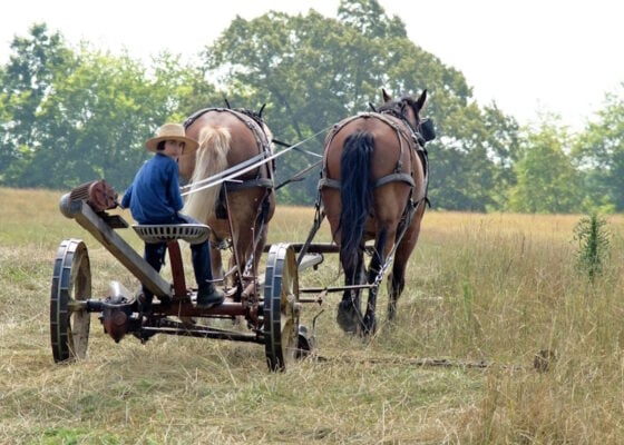 A farmer in a blue shirt and straw hat sits on a two-wheeled horse-drawn cart in a grassy field, guiding two brown horses.