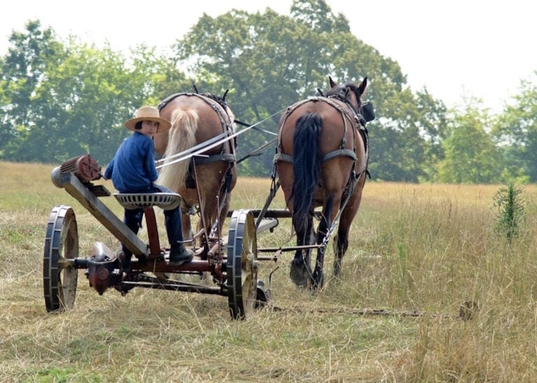 The Amish Rarely Settle In This Southern State — Now It’s Getting A Second Community