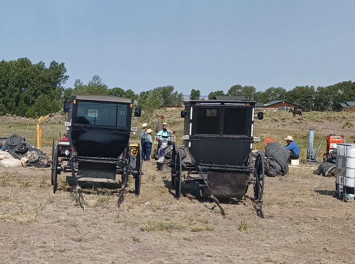 Two Amish buggies with lot numbers at Colorado auction