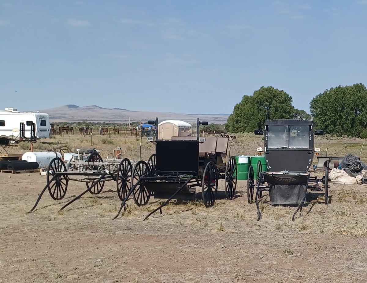 Amish buggies and spring wagon at Colorado auction