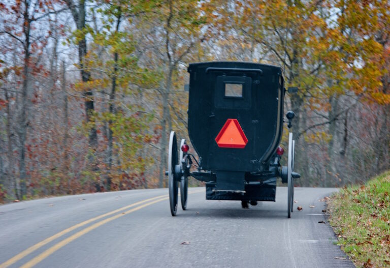 Autumn Images From An Amish Corner Of Kentucky (15 Photos)