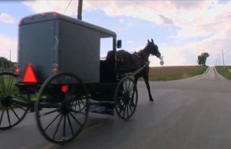 New Law Aimed At Amish Community Would Ban Steel Wheel Buggies, Require Manure Cleanup
