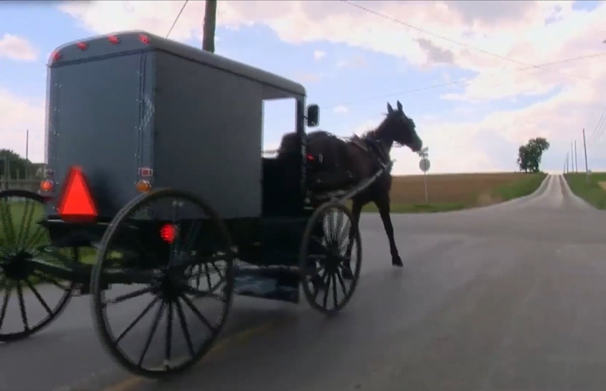 An Amish horse-drawn buggy on a rural road