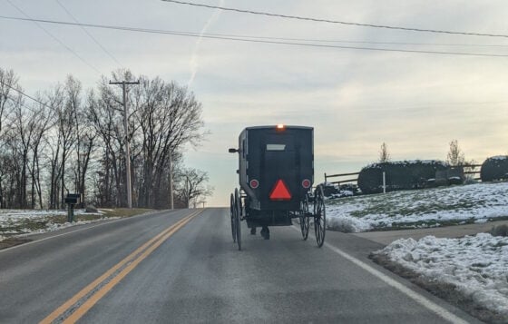 Semi Smashes Buggy, Leaving Horse Dead and Amish Man Seriously Injured ...
