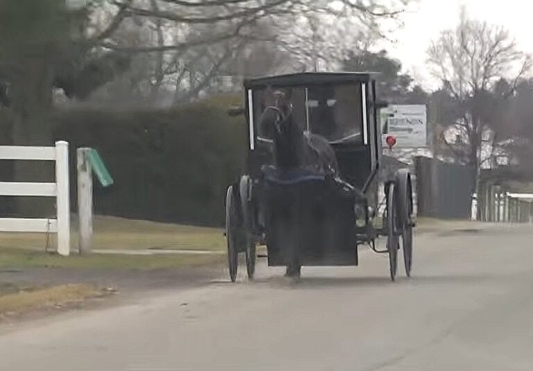 This State Could Seize Homeowners’ Land to Build An Amish Buggy Lane – and Residents Say They’re Being Ignored