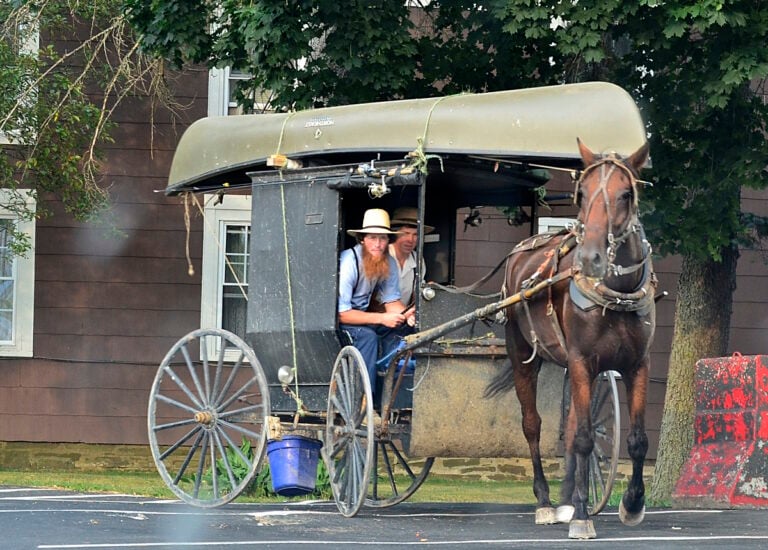 Lawyers Say Amish Will Leave New York If They Lose School Vaccine Mandate Case