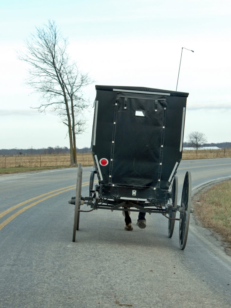 26-Year-Old Amish Man Dead After SUV Rear-Ends Buggy on Missouri ...