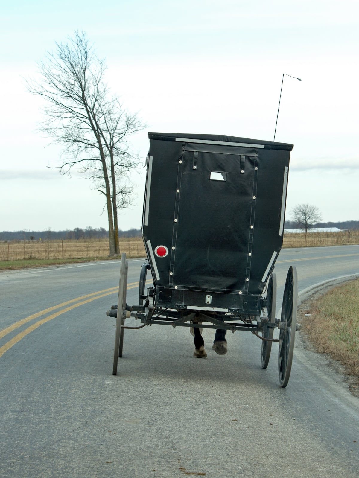 Close-up rear view of a black Amish horse-drawn buggy rounding a curve on a rural highway in winter A black Amish horse-drawn buggy with a single red reflector is seen from close behind as it rounds a curve on a two-lane rural road, with bare trees and flat farmland in the background
