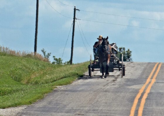 Horse-drawn wagon being driven along a rural road with two riders and a grassy roadside.