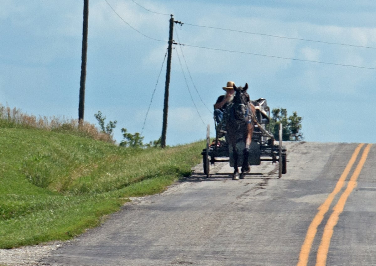 Amish man driving an open buggy on a rural Missouri road