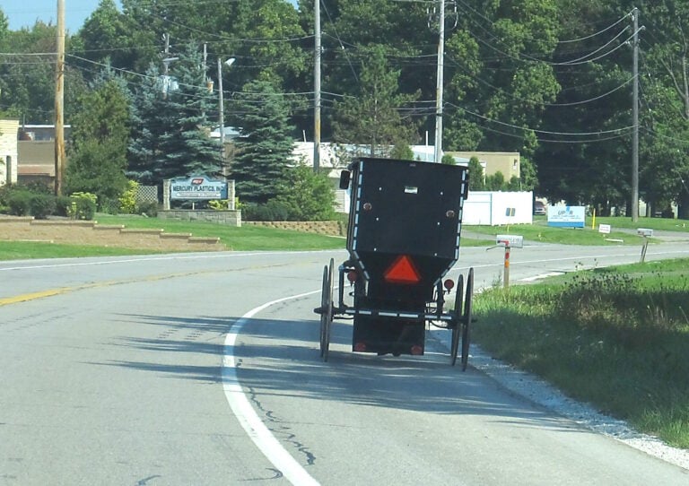 A Truck Was Doing 75 MPH When It Hit A Buggy Full Of Amish Teens. The Driver Then Hid It