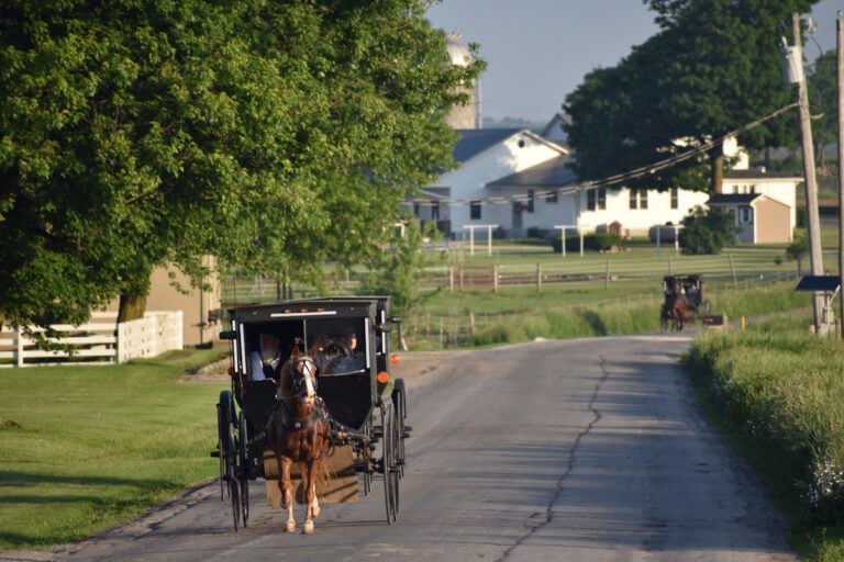 Hundreds of Amish Turn Out for Road, Home, and Farm Safety Day (Nappanee)