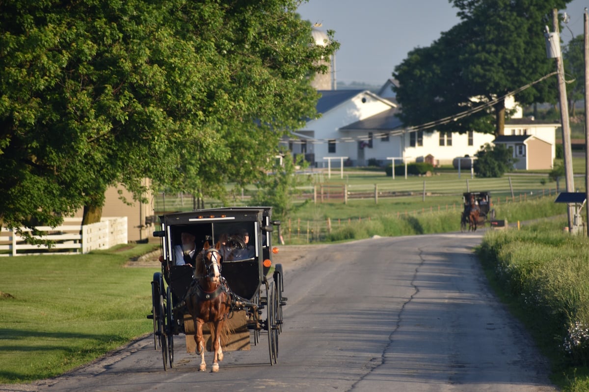 An Amish horse and buggy travels down a rural road past a farmhouse, with a second buggy approaching in the distance