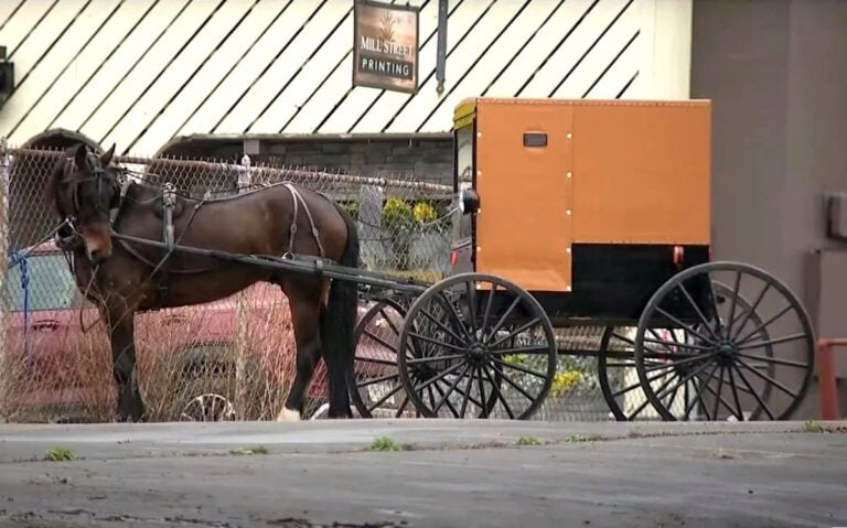 2-Year-Old Amish Boy Dies After Falling Into Septic Tank