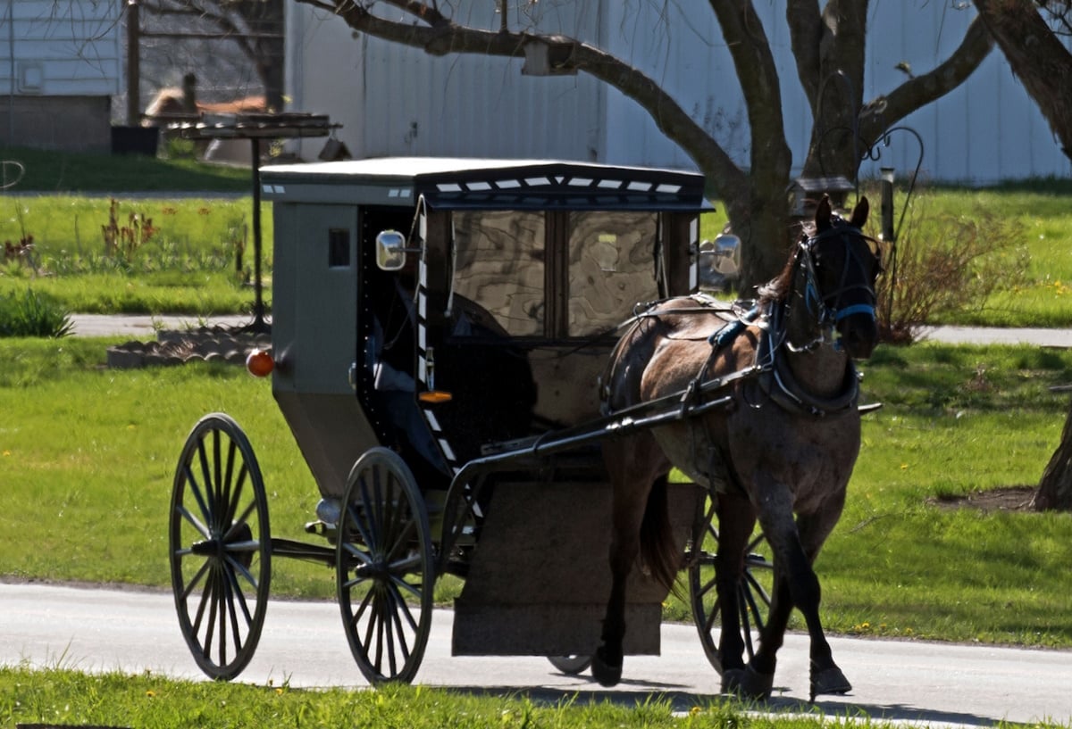 Amish buggy travels on asphalt road in Jamesport, MO