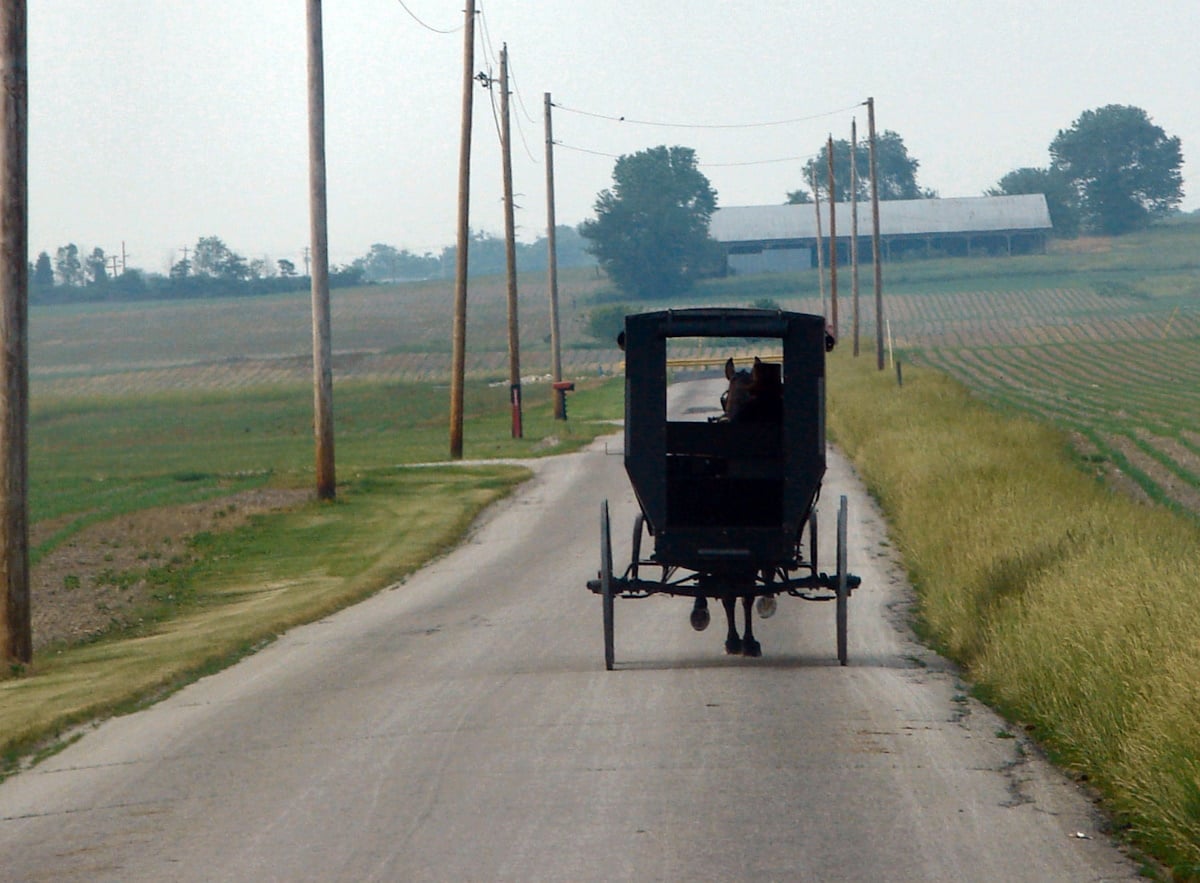 Amish buggy with no slow-moving vehicle triangle on a rural road in Lawrence County, Indiana