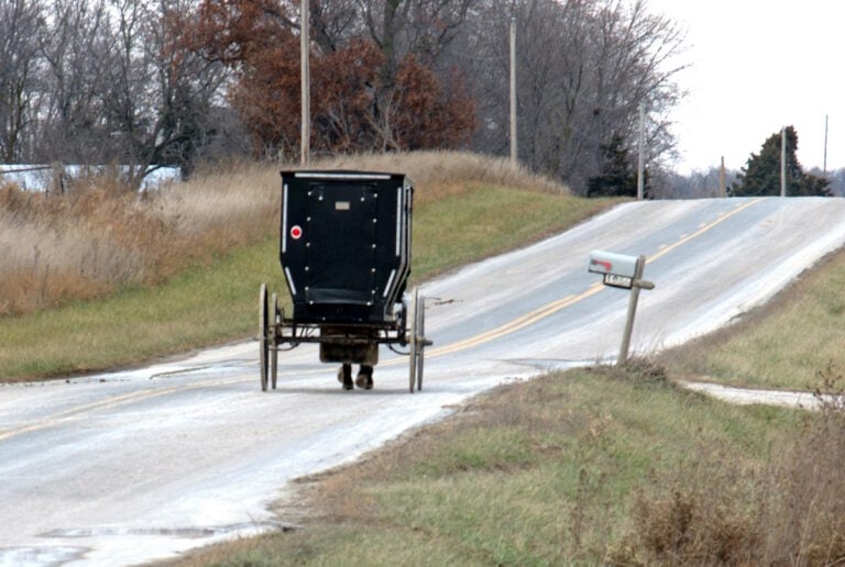 26-Year-Old Amish Man Dead After SUV Rear-Ends Buggy on Missouri Highway