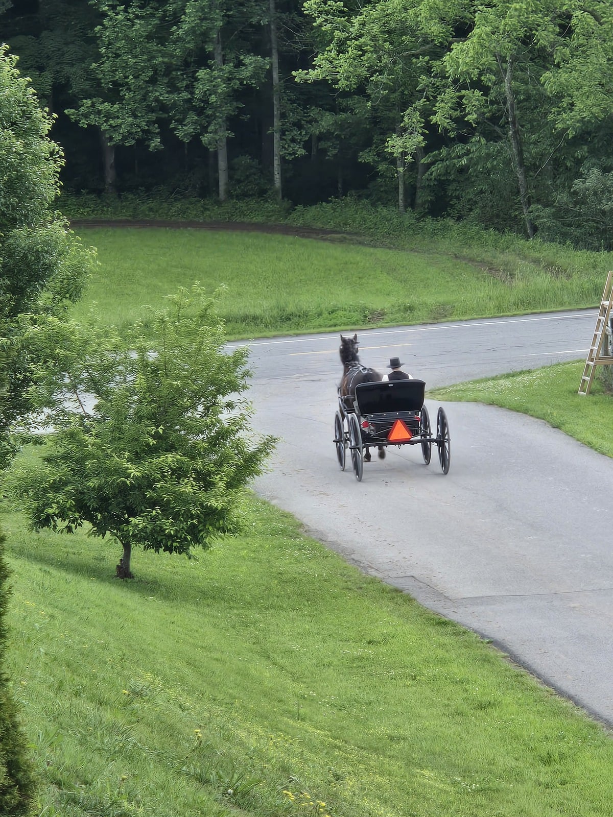 Amish buggy driver heading to church Pearisburg Virginia