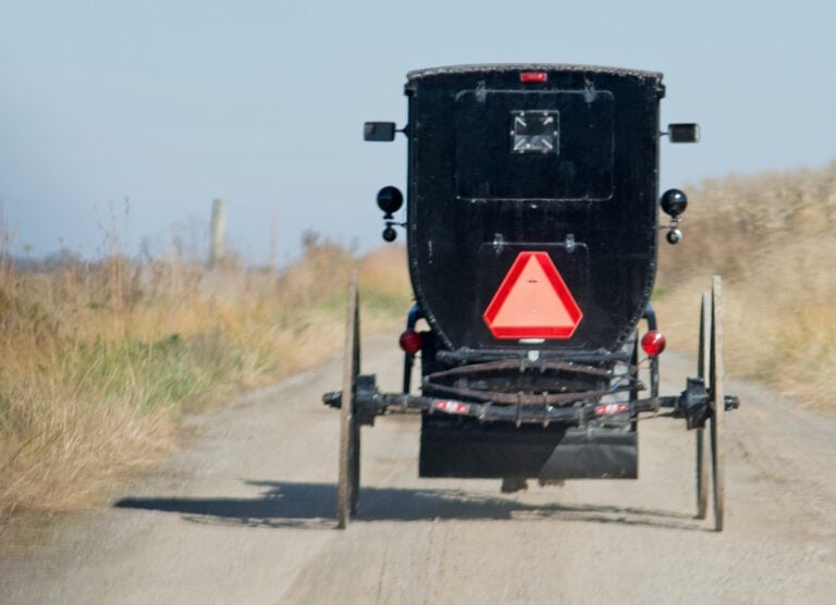 Illinois Is America’s #10 Amish State — Here Are Its 10 Biggest Communities