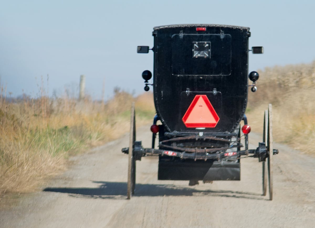 Rear view of a black Amish buggy with an orange slow-moving vehicle triangle, traveling a gravel road between fields of dry grass in the Opdyke, IL community