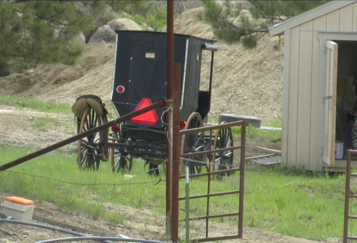 A black Amish buggy parked outside a shed in Montana